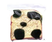 anti-theft sandwich bag